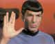 spock008.jpg (23038 bytes)