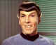 spock009.jpg (32342 bytes)