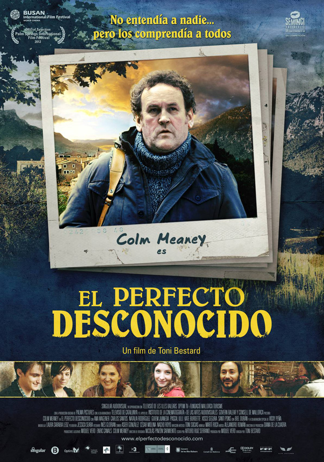 EL PERFECTO DESCONOCIDO - The perfect stranger - 2011