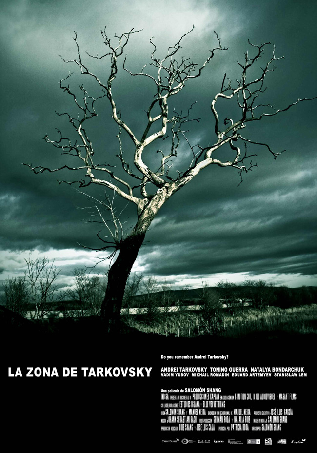LA ZONA DE TARKOVSKY - 2008