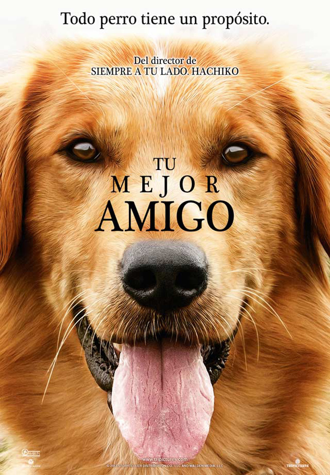TU MEJOR AMIGO - A dog's purpose - 2017