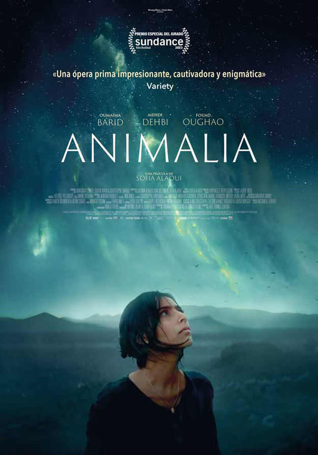 ANIMALIA - 2023