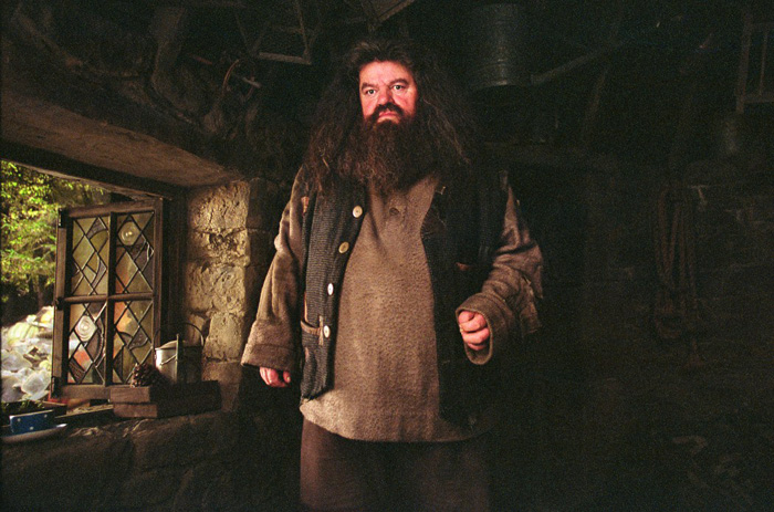 ROBBIE COLTRANE en Harry Potter - 2004